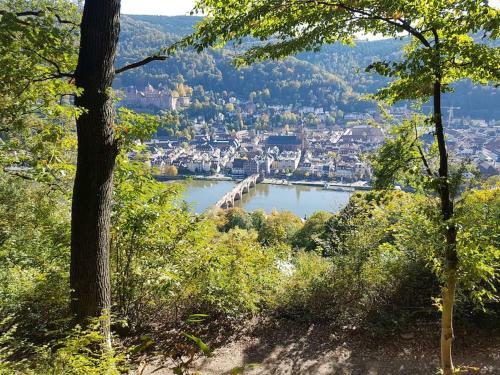 Apartamento 3-zimmer-wohnung In M�rchenstadt!