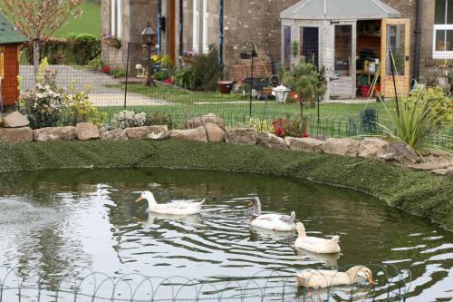 Park Farmhouse, Luxury Bed & Breakfast, Turnberry