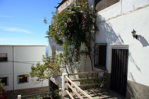 Apartamento El Balcon De La Alpujarra