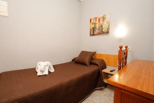 Hostal Conde David