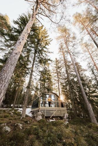 Hotel Haltia Lake Lodge