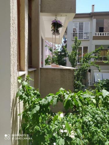 Apartamento Altinoluk Yazlik