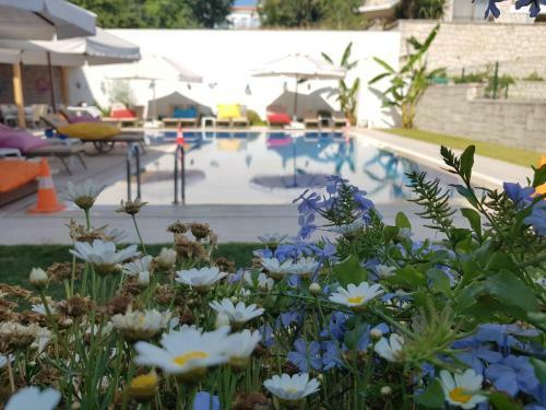 Hotel S�reyya Han?m Butik Otel