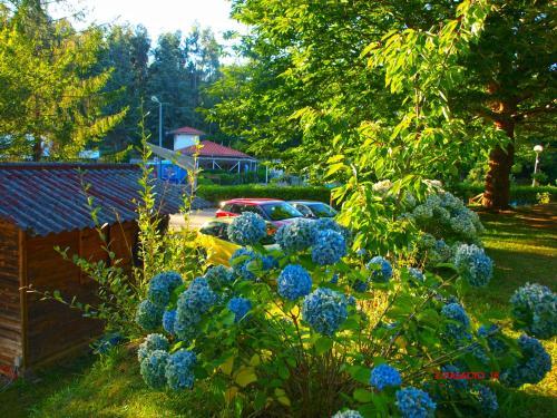 Camping El Helguero
