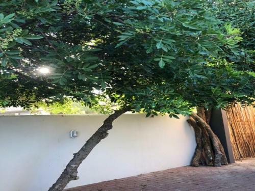 Apartamento Old Cape On The Marina - de Pond : Unit 6