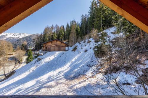 Groot 10 Pers Ski-in Chalet Met Openhaard En Garage