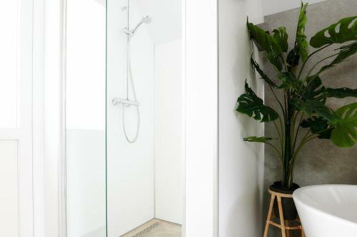 Wellness Lodges X de Ijsvogel