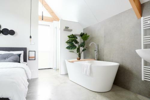 Wellness Lodges X de Ijsvogel