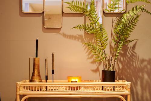 Wellness Lodges X de Ijsvogel