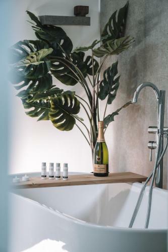 Wellness Lodges X de Ijsvogel