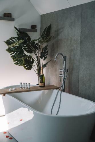 Wellness Lodges X de Ijsvogel