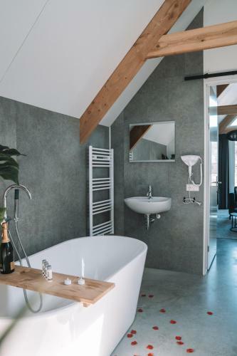 Wellness Lodges X de Ijsvogel