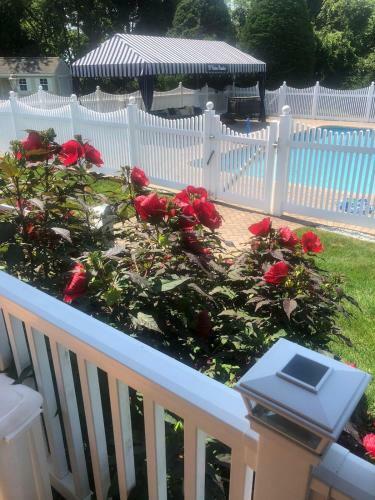 Country Beach Paradise W Large Pool