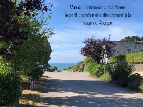 Les Agapanthes