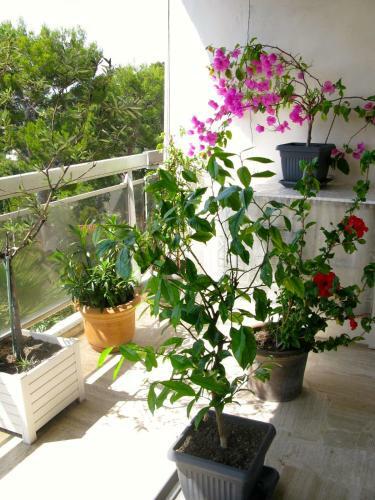 Apartamento Le Parc de Villefranche
