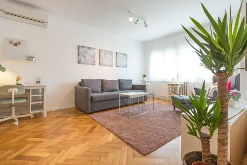 Belgrade Center Apartment II