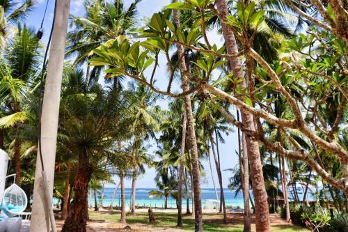 Hotel Searenity Beach Villa