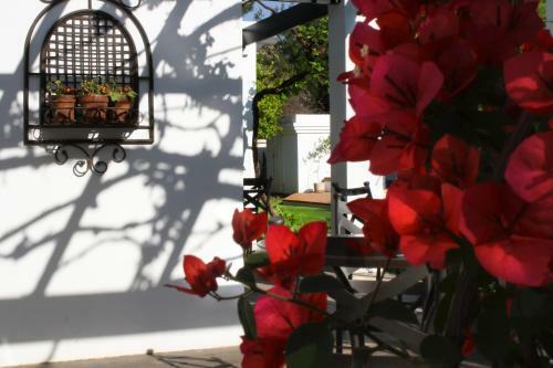 Bed & Breakfast Lemon & Lime Guesthouse