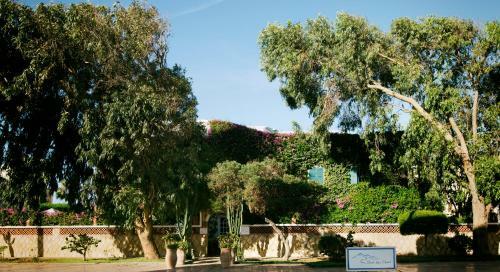 Hotel Vent Des Dunes