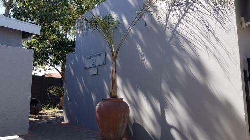 Hostal Touching Senses Garden Cottages