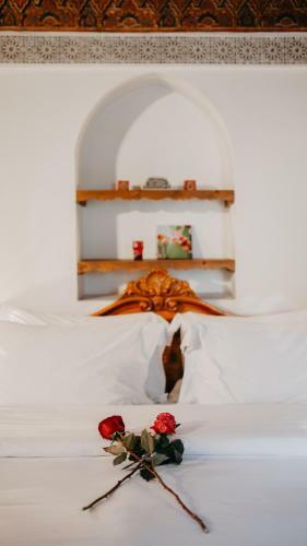 Riad Toyour- Riad Of Birds