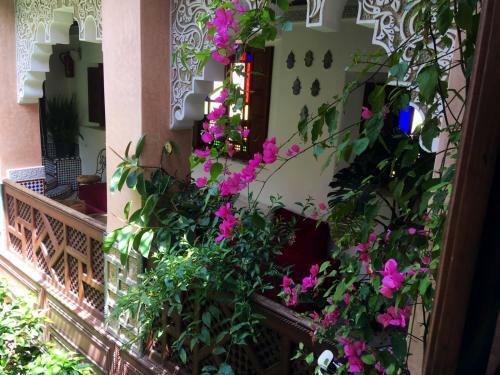 Riad Toyour- Riad Of Birds