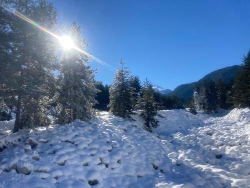 Bright Apartment In Bansko Free Sauna And Garage