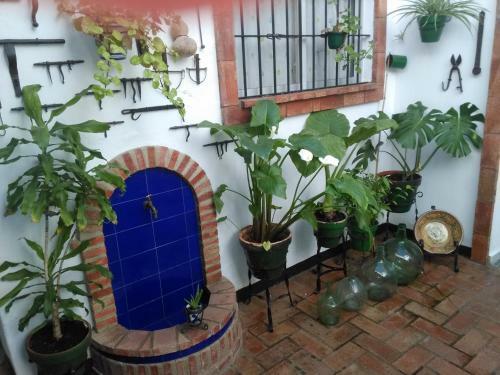 Apartamentos Jerez Centro