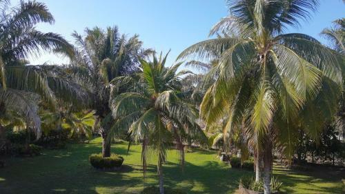 Caba�a de Playa San Jos� Cove�as