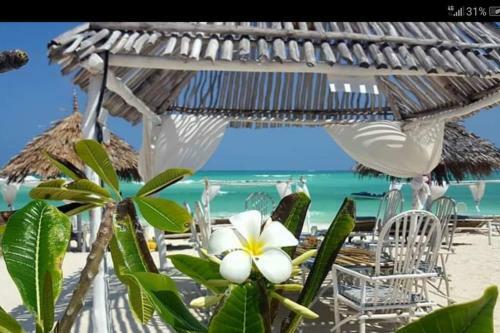 Villa Luxury Simba House In Watamu