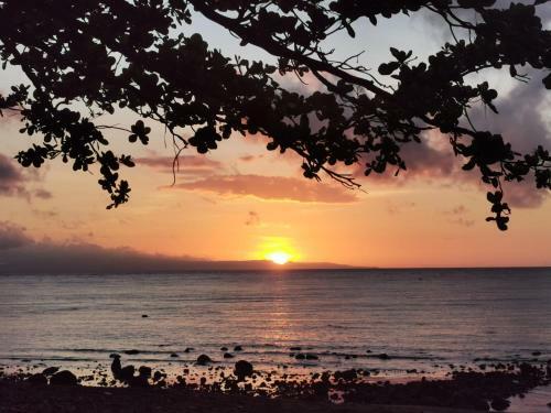 Glamping Dome Dauin Beach + Dive Resort