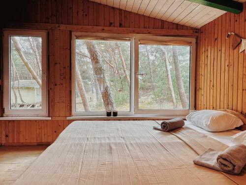 Lodge Energetikas ? Nameliai Prie J?ros
