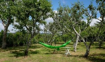 Hostal Casa Rural O Xastre De Anos