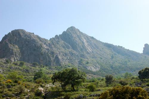 Villa Cortijo Pulgar�n Bajo