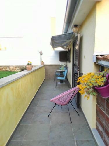 Apartamentos Studio M