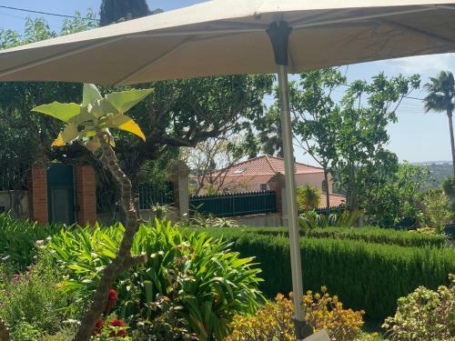 Bed & Breakfast Villa Tranberg