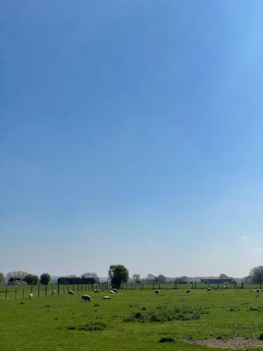 Le G�te Du Flot