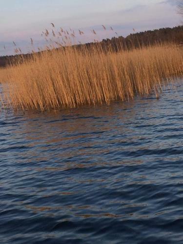 Domki Holenderskie Mazury Leleszki
