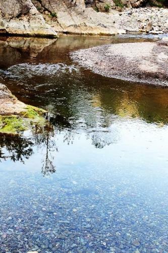Riverdale-kasauli.swimming Pool,rain Dance,bonfire