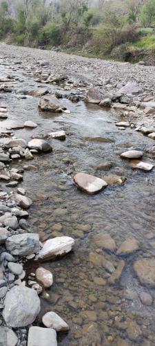 Riverdale-kasauli.swimming Pool,rain Dance,bonfire