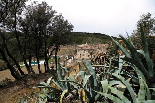 Hotel El Mangranar
