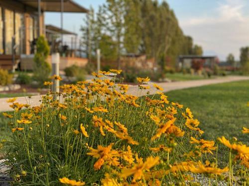 Pleasant Cottage In Savigliano With Private Garden