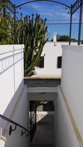 A Casa Di Antonia