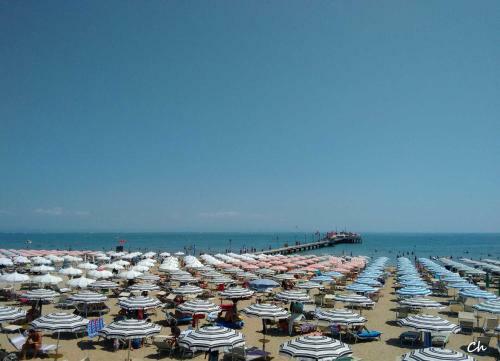 Charming Villa In The Elegant Area Of Lignano