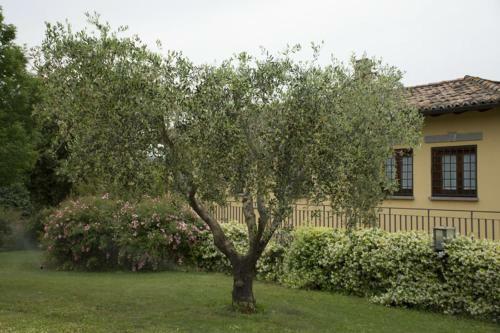 Apartamento Agriturismo Scuderie Della Contea
