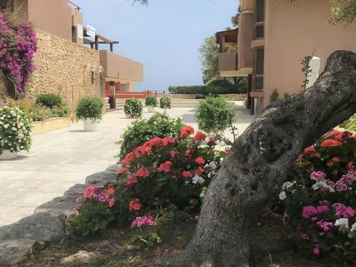 Amazing Apartment In Olbia With Shared Pool