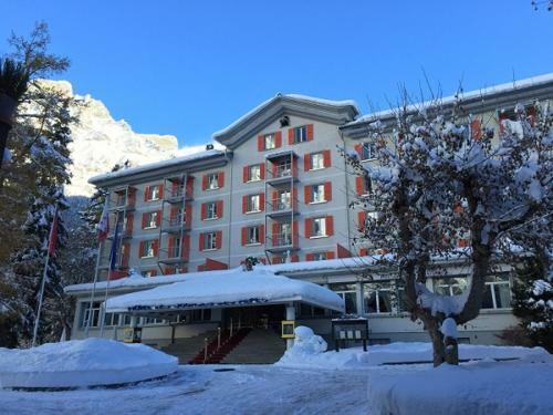 Hotel H�tel Les Sources Des Alpes