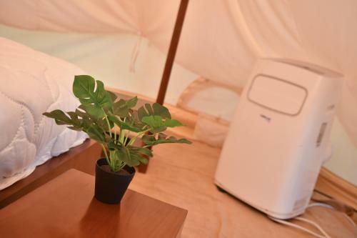 Seren Glamping
