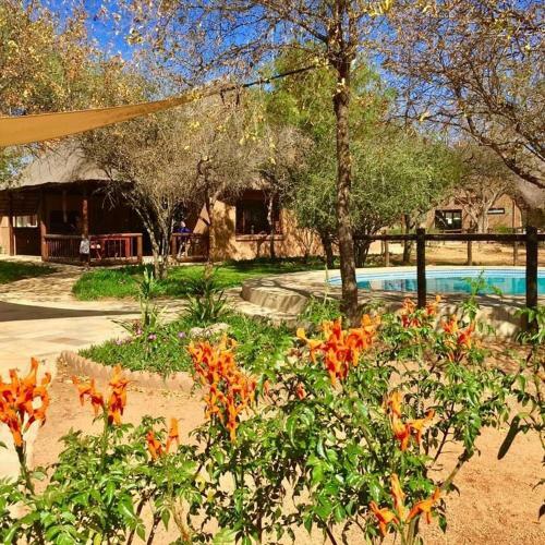Hotel Golden Impalas Bush Resort
