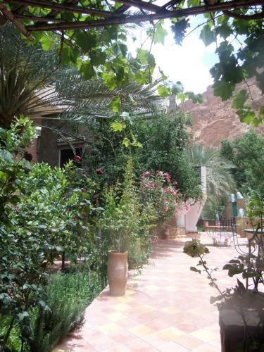 Bed & Breakfast Kasbah Restaurant Amazir